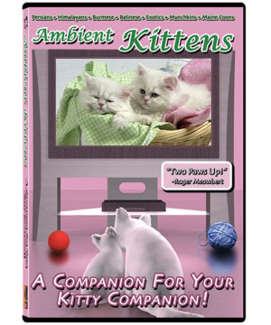 Ambient Kittens DVD image 0